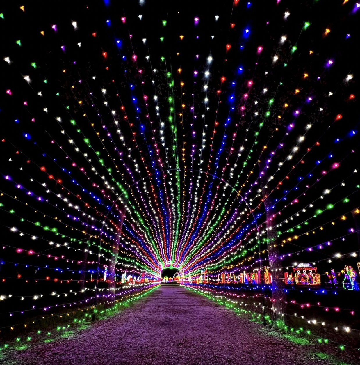 必見！ダラスでみれるクリスマスイルミネーションをご紹介 — Gephyro